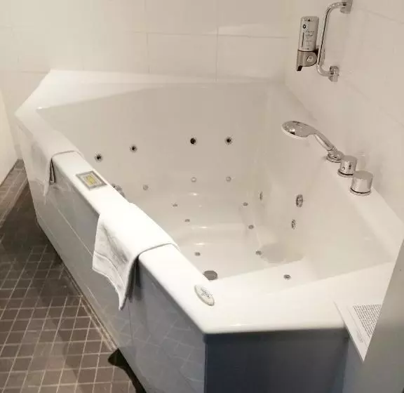 سوییت اجرایی, Fletcher Wellness Hotel Trivium