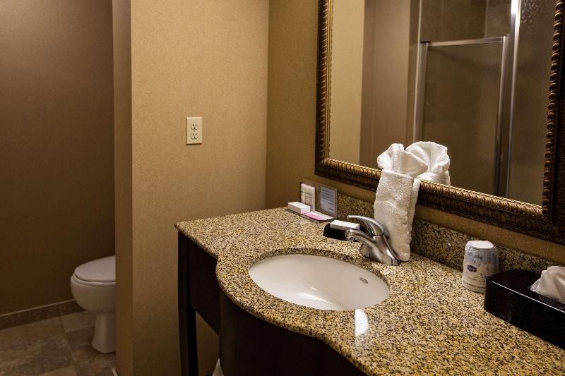 带大床的标准间, Hampton Inn By Hilton Napanee