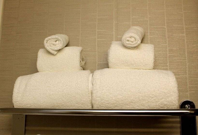 חדר סטנדרט, Holiday Inn Express Hotel & Suites Sherwood Park Edmonton Area, An Ihg