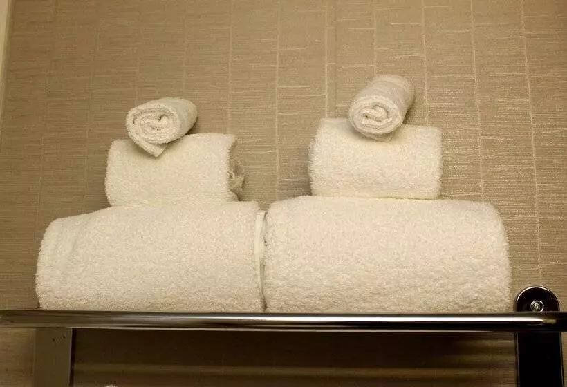スイート, Holiday Inn Express Hotel & Suites Sherwood Park Edmonton Area, An Ihg