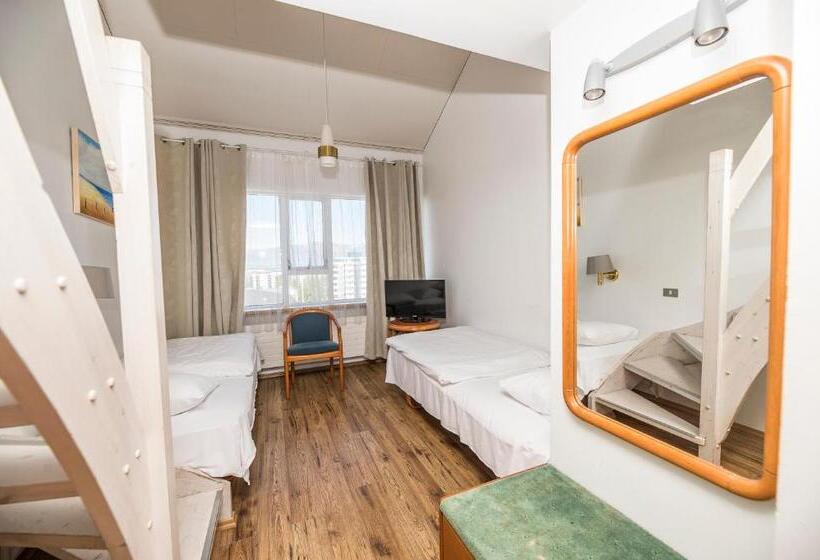 اتاق استاندارد چهار تخته, Orkin