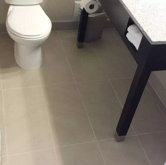 اتاق استاندارد با 2 تخت دوبل, Quality Inn Toronto Airport