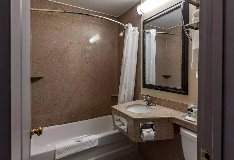 اتاق استاندارد با 2 تخت دوبل, Quality Inn Toronto Airport