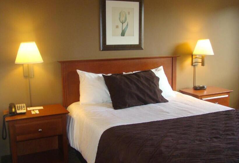 适合残疾人使用的标准间, Super 8 By Wyndham Sainte Agathe Des Monts