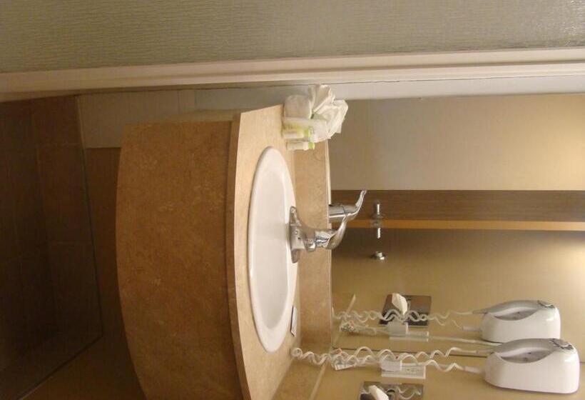 带大床的套房, Super 8 By Wyndham Sainte Agathe Des Monts