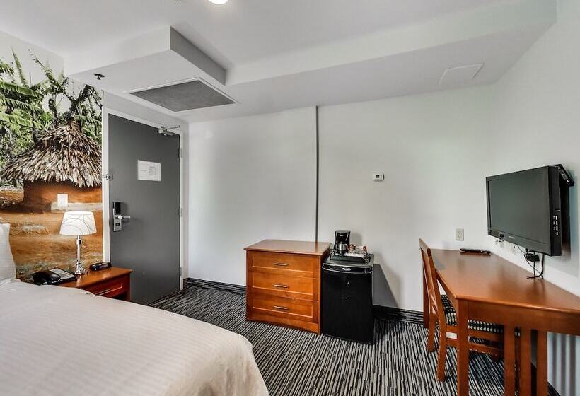 デラックスルーム, Isabella Hotel And Suites