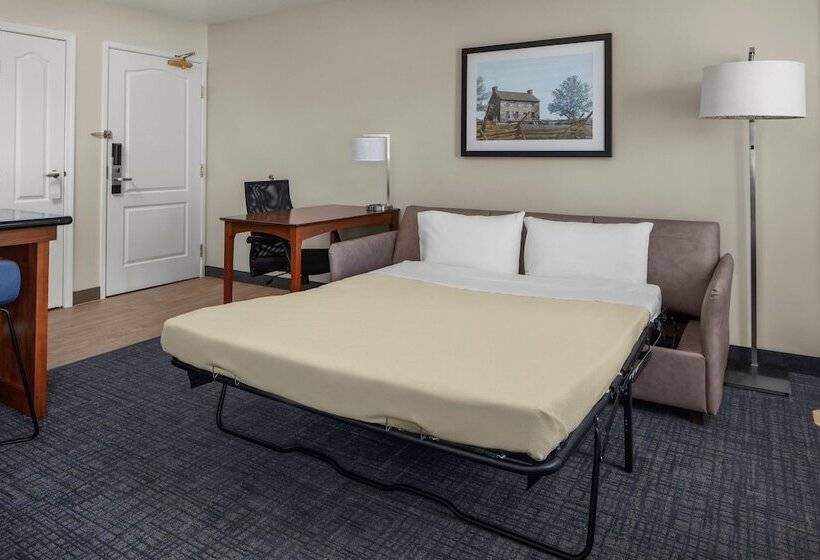 스위트, Residence Inn Manassas Battlefield Park