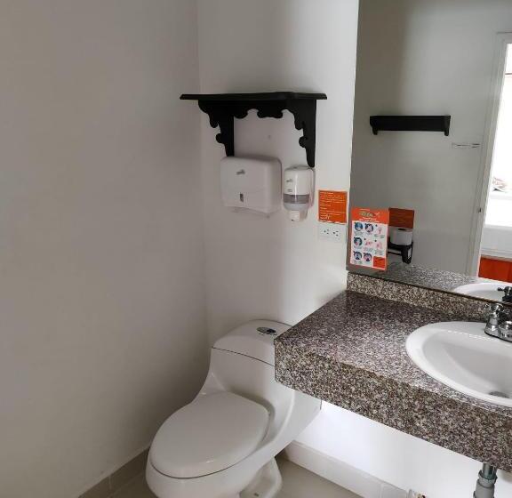 스탠다드 트리플 룸, Campestre La Floresta