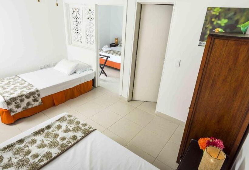 4인용 스탠다드 룸, Campestre La Floresta