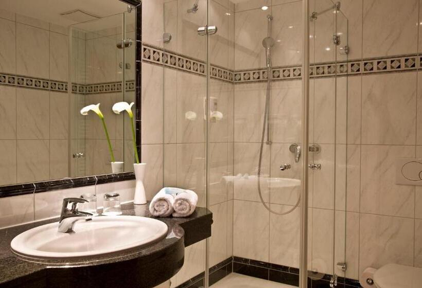 스탠다드 싱글 룸, Germanenhof