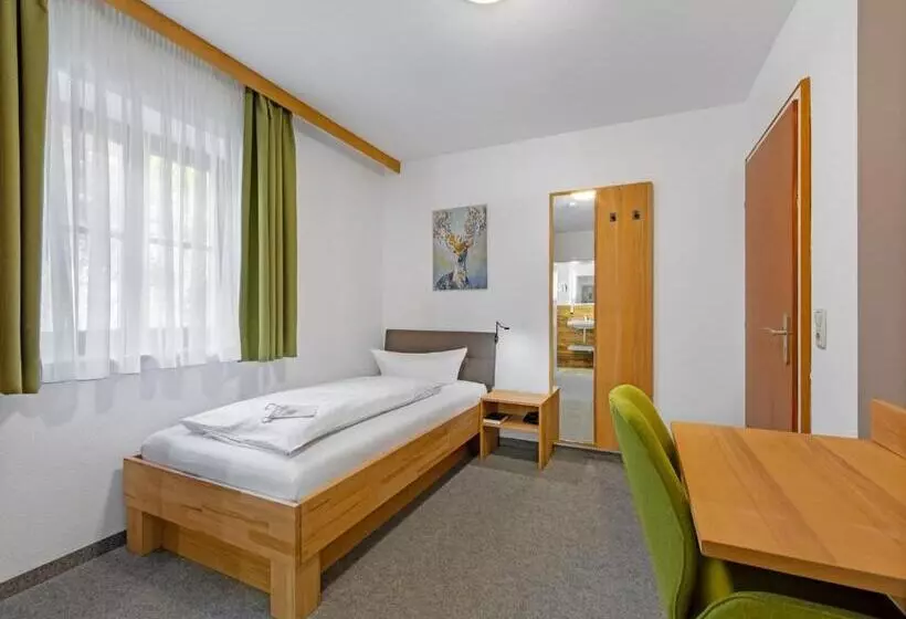 اتاق استاندارد یک نفره, Landhotel Gabriele