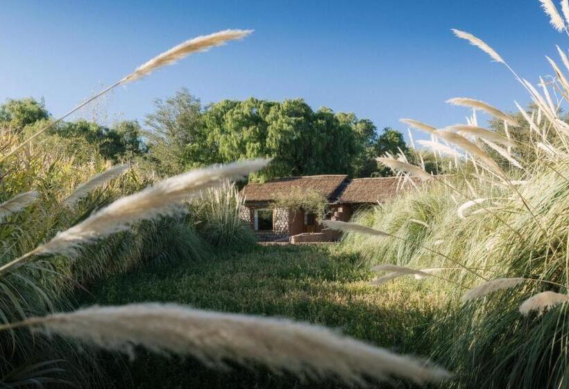 デラックスビラの1ベッドルーム, Our Habitas Atacama