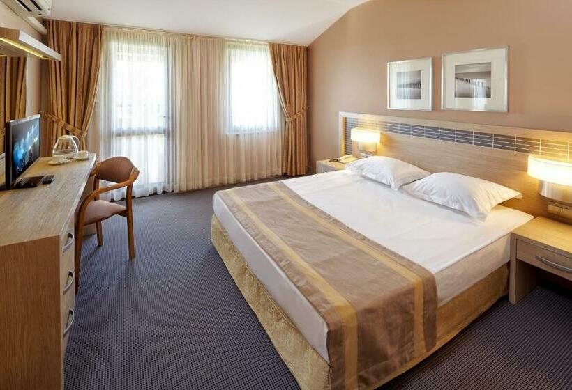 اتاق استاندارد, Pam Thermal Hotel Clinic & Spa