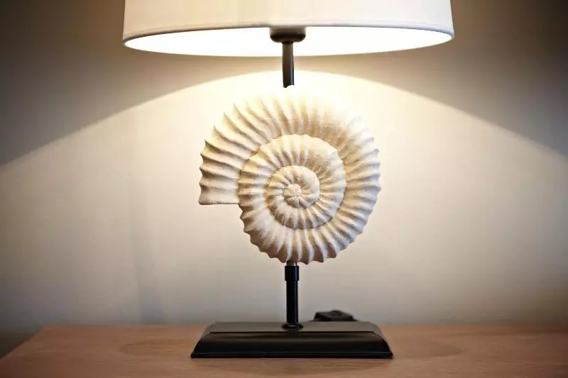 اتاق راحتی, Strandhotel Zingst