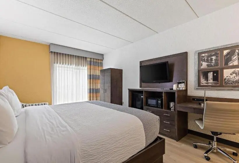 キングサイズベッドのデラックスルーム, Americinn By Wyndham Rochester Near Mayo Clinic