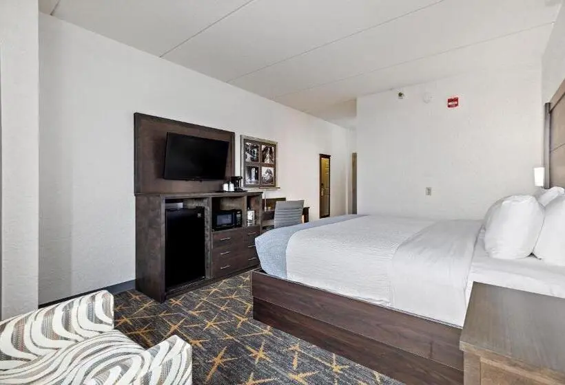 キングサイズベッドのスタンダードルーム, Americinn By Wyndham Rochester Near Mayo Clinic