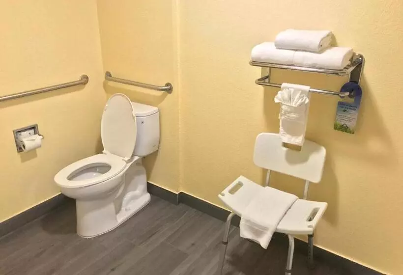 Standard Room King Bed Adapted for people with reduced mobility