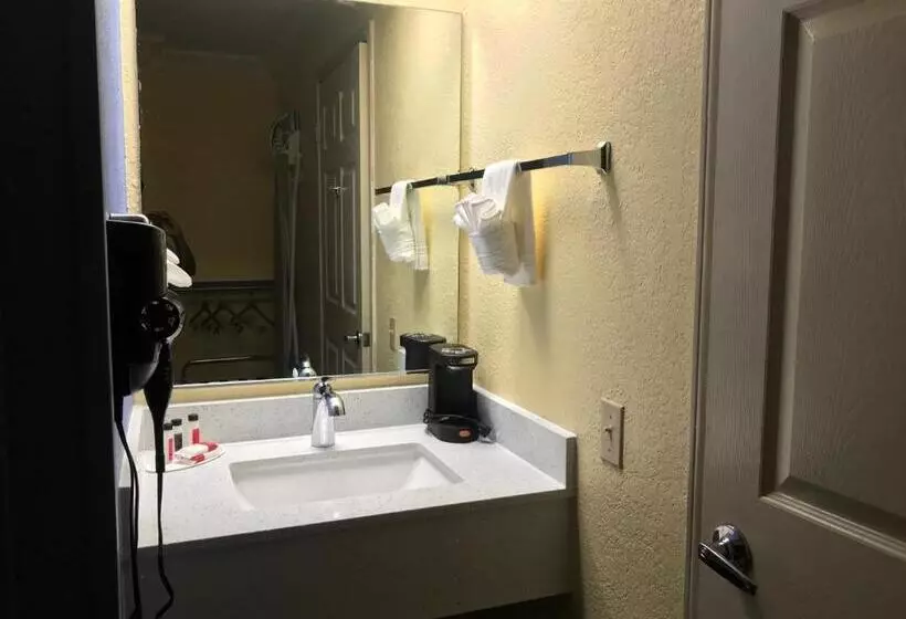 身障者適用キングサイズベッドルーム, Days Inn By Wyndham San Antonio Airport