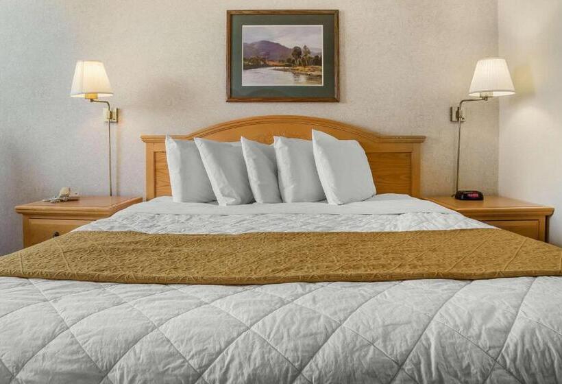 غرفة قياسية سرير كينج, Econo Lodge