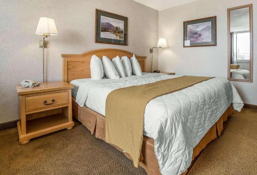 Стандартный Номер Кровать Кинг, Econo Lodge