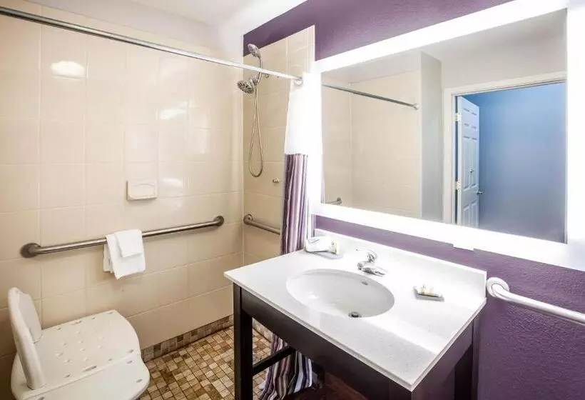 اتاق استاندارد برای معلولان, La Quinta By Wyndham Lubbock North
