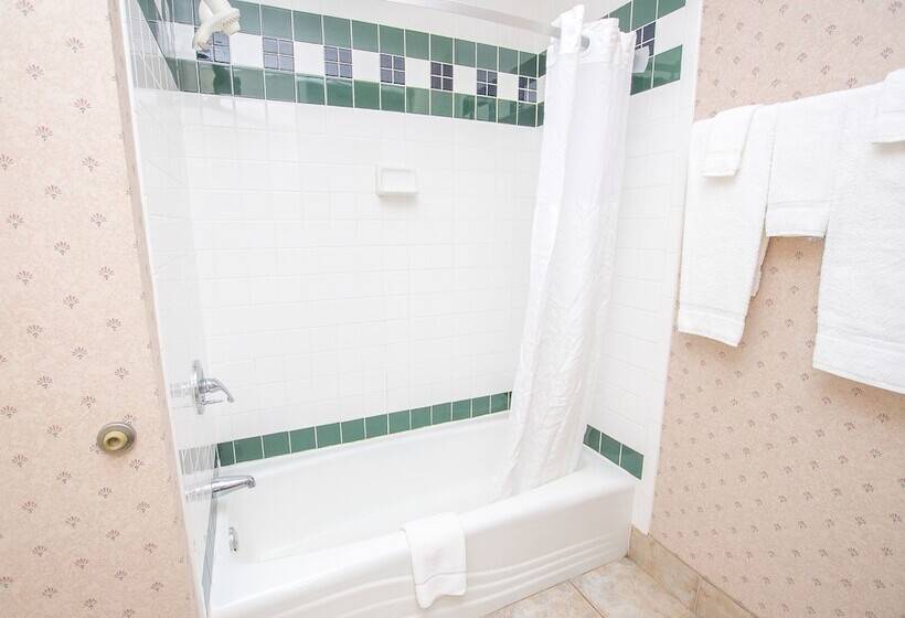 غرفه قياسيه سريرين مزدوجين, Lake Chatuge Lodge