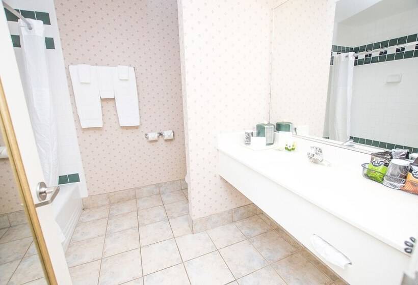 غرفه قياسيه سريرين مزدوجين, Lake Chatuge Lodge