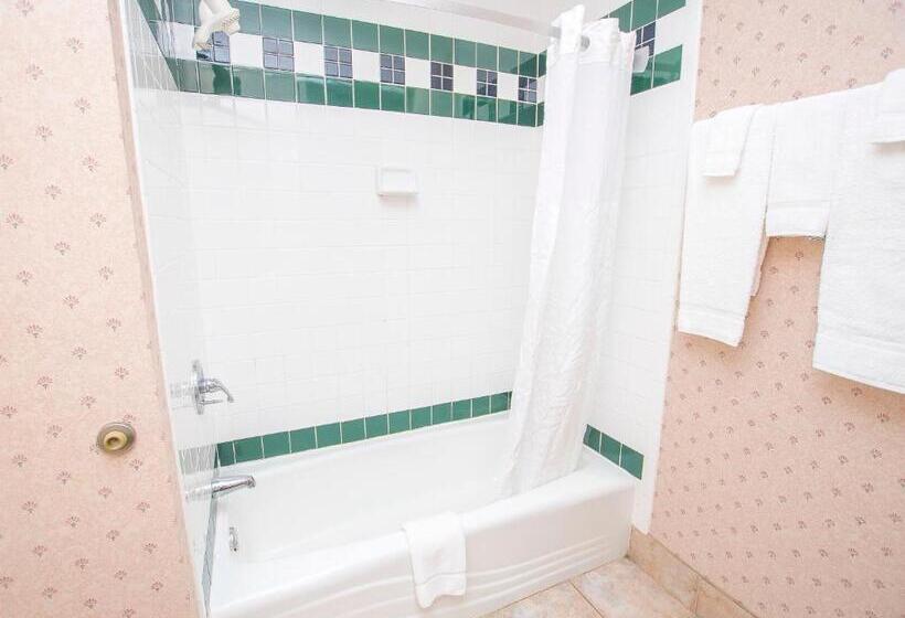 غرفة قياسية, Lake Chatuge Lodge