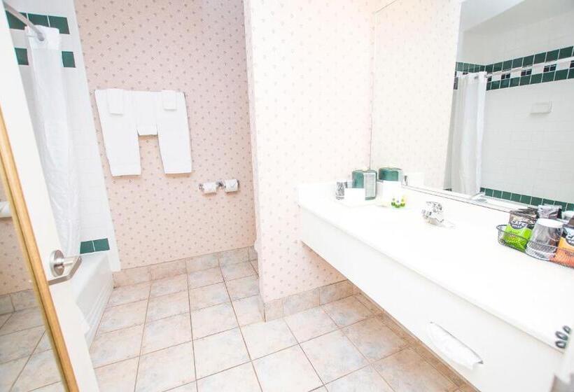 غرفة قياسية, Lake Chatuge Lodge