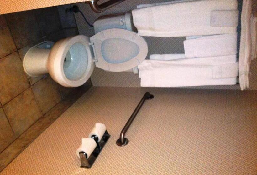 غرفه قياسيه سريرين مزدوجين, Lake Chatuge Lodge