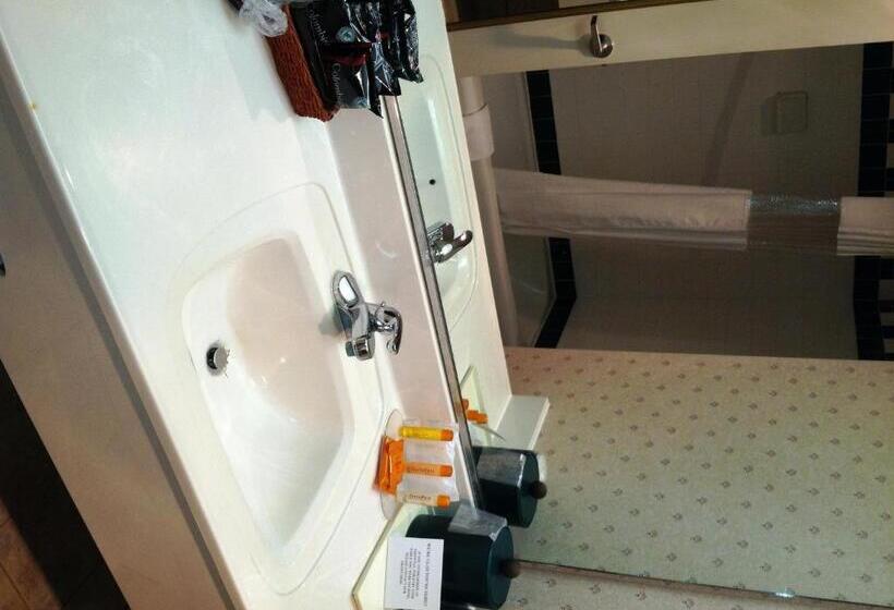 غرفه قياسيه سريرين مزدوجين, Lake Chatuge Lodge