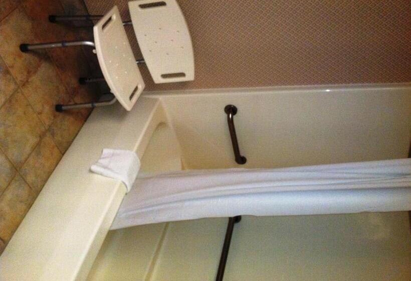 غرفة قياسية لذوى الاحتياجات الخاصة, Lake Chatuge Lodge