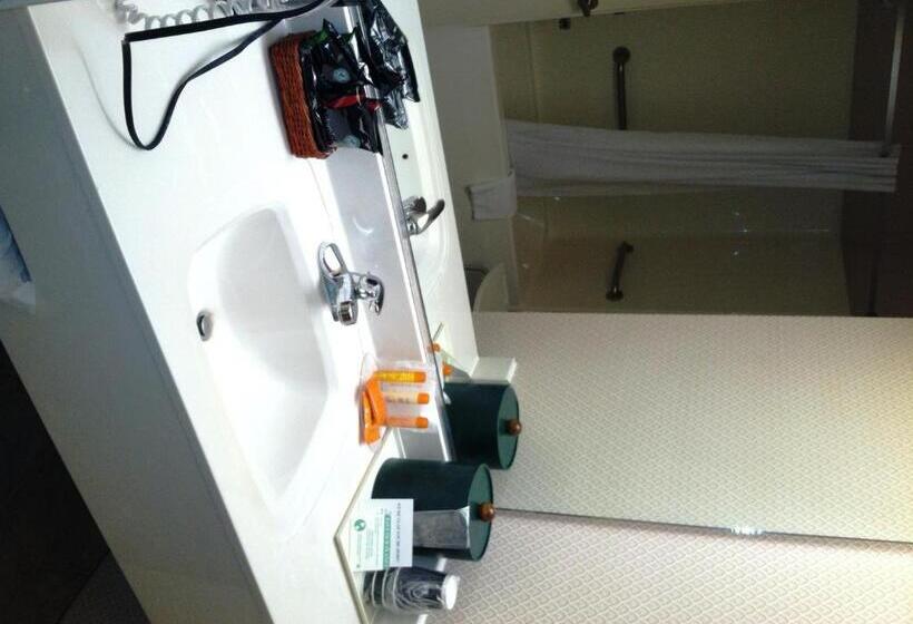 غرفة قياسية لذوى الاحتياجات الخاصة, Lake Chatuge Lodge