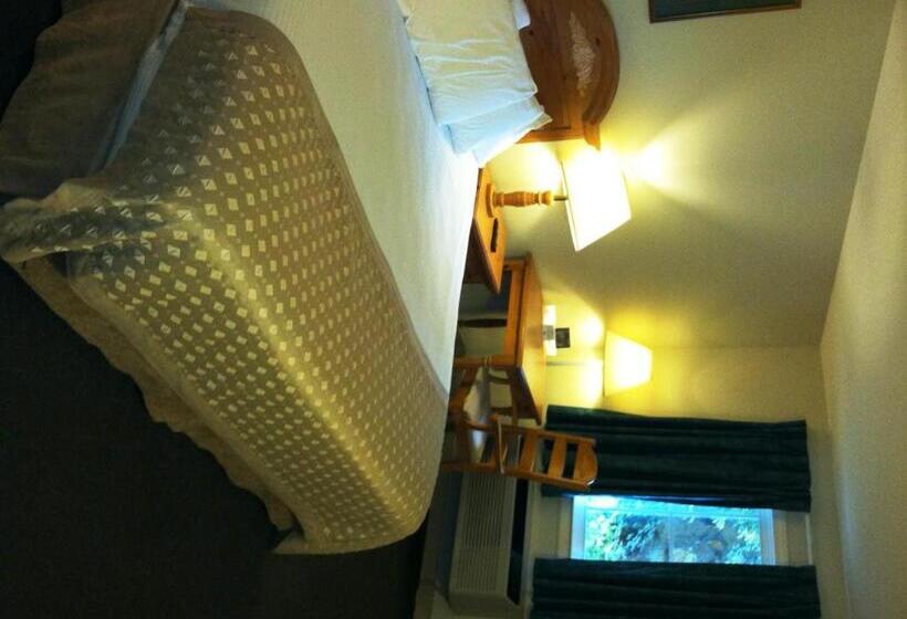 غرفة قياسية لذوى الاحتياجات الخاصة, Lake Chatuge Lodge