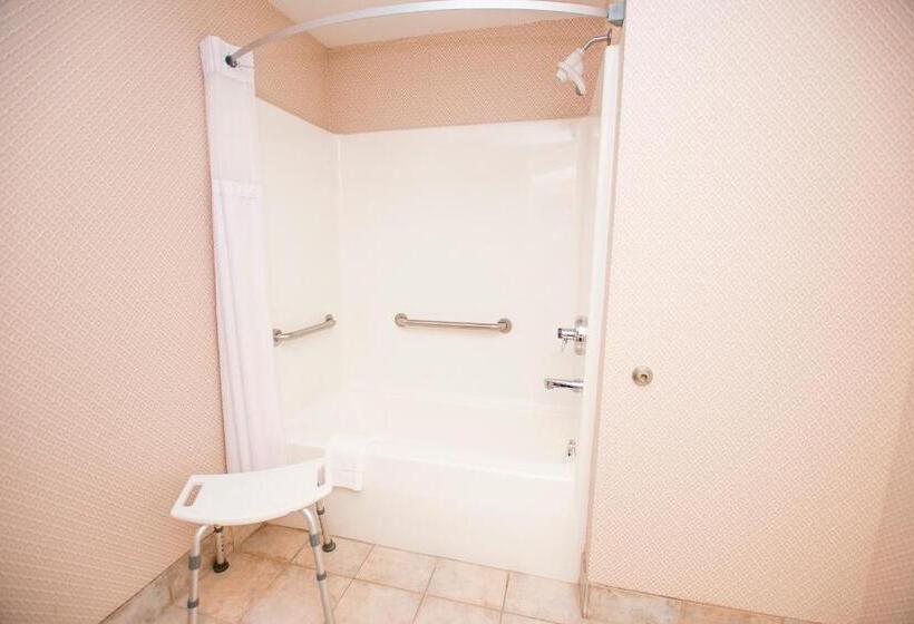 غرفة قياسية لذوى الاحتياجات الخاصة, Lake Chatuge Lodge