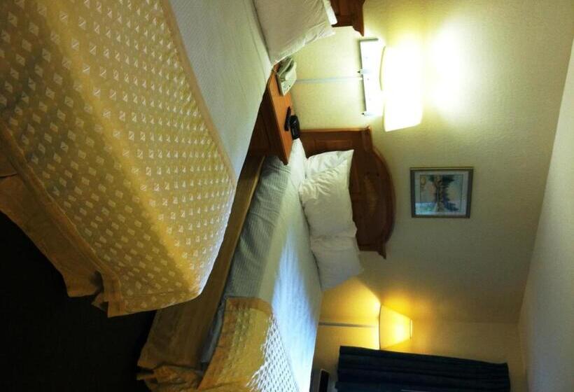 غرفة قياسية لذوى الاحتياجات الخاصة, Lake Chatuge Lodge