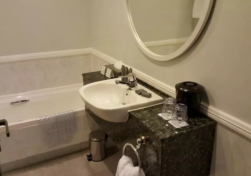 身障者適用スタンダードルーム, Lake Chatuge Lodge