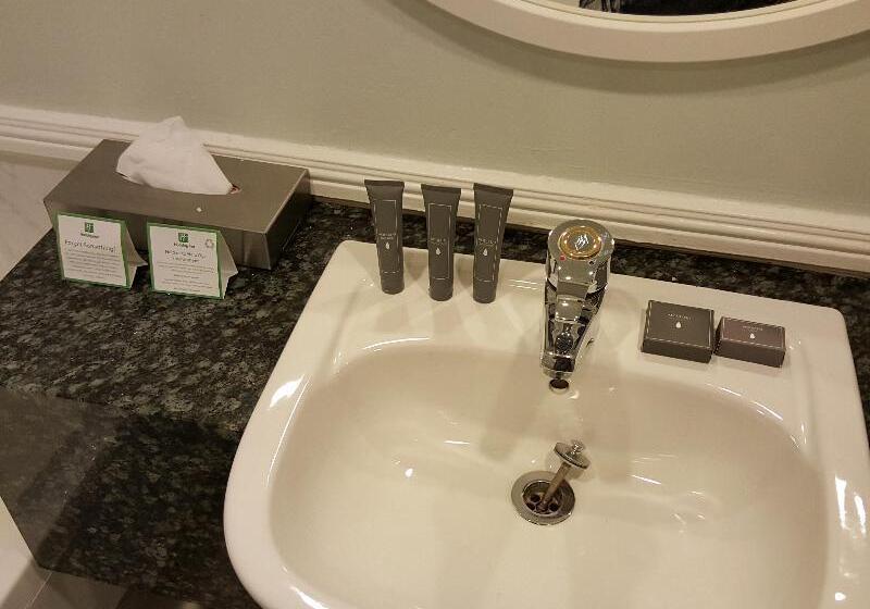 غرفة قياسية لذوى الاحتياجات الخاصة, Lake Chatuge Lodge