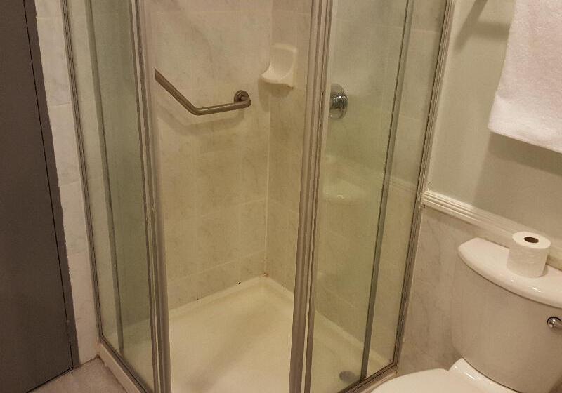 غرفة قياسية لذوى الاحتياجات الخاصة, Lake Chatuge Lodge