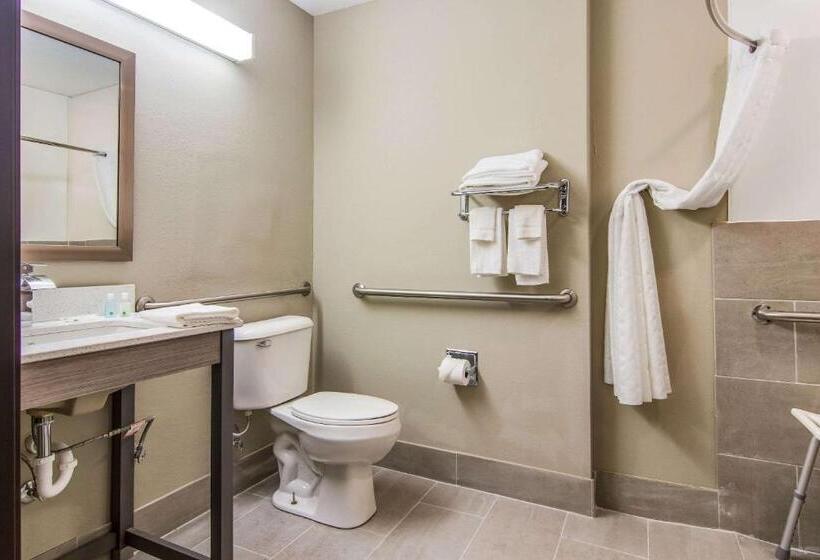 غرفة قياسية لذوى الاحتياجات الخاصة, Quality Inn & Suites Grove Cityoutlet Mall