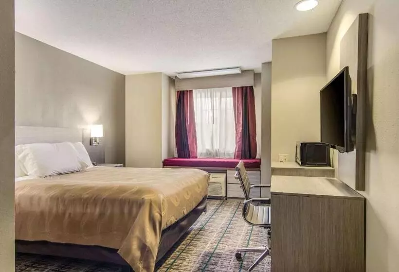 身障者適用スタンダードルーム, Quality Inn & Suites Grove Cityoutlet Mall