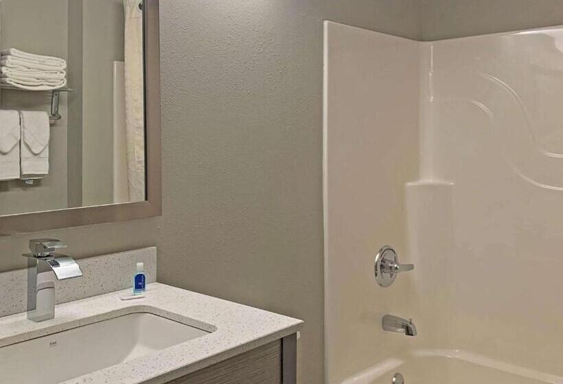 جناح سرير كينج, Quality Inn & Suites Grove Cityoutlet Mall