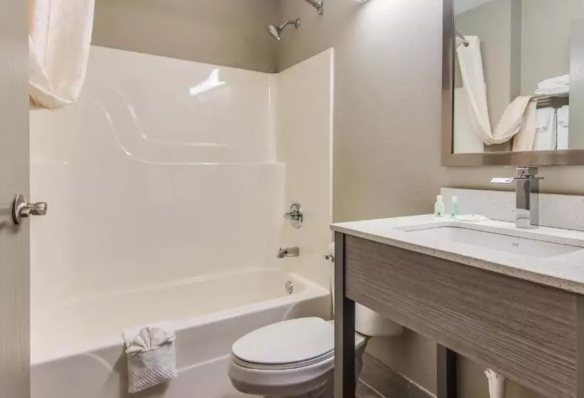 キングサイズベッドのスイートルーム, Quality Inn & Suites Grove Cityoutlet Mall