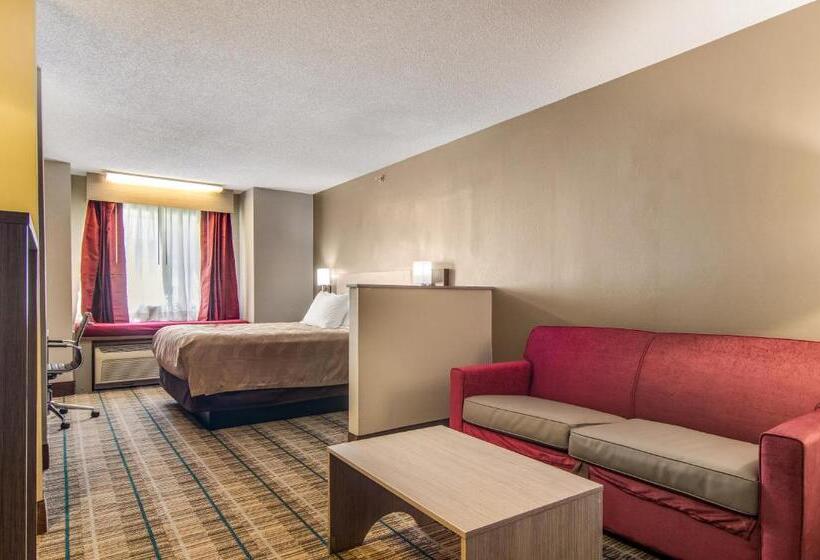Люкс, Quality Inn & Suites Grove Cityoutlet Mall