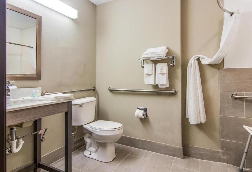 غرفة قياسية سرير كينج, Quality Inn & Suites Grove Cityoutlet Mall