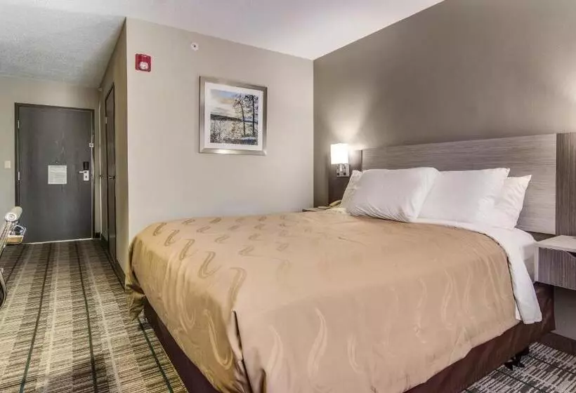 キングサイズベッドのスタンダードルーム, Quality Inn & Suites Grove Cityoutlet Mall