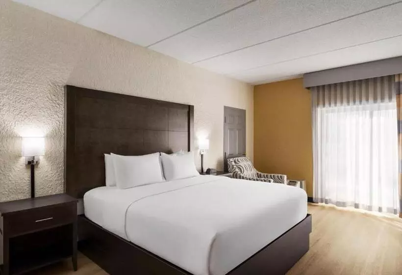 キングサイズベッドのデラックスルーム, Americinn By Wyndham Rochester Near Mayo Clinic