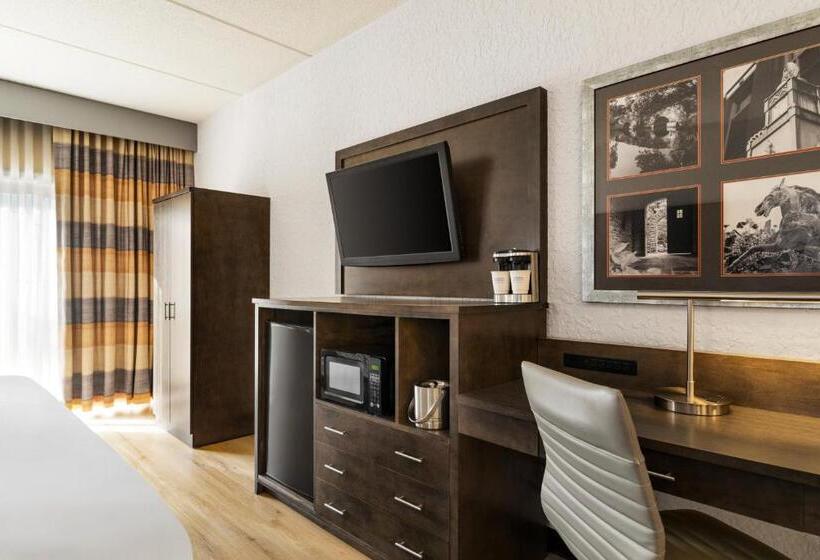 חדר דחוקס עם מיטת קינג, Americinn By Wyndham Rochester Near Mayo Clinic