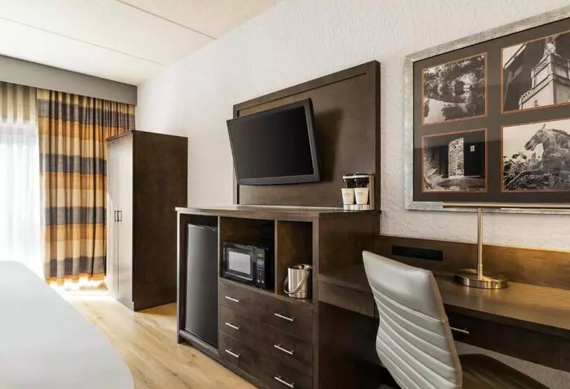 キングサイズベッドのデラックスルーム, Americinn By Wyndham Rochester Near Mayo Clinic