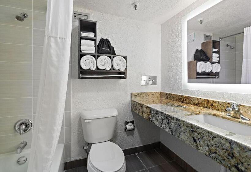 חדר דחוקס עם מיטת קינג, Americinn By Wyndham Rochester Near Mayo Clinic